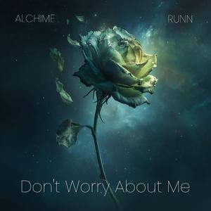 Don't Worry About Me (feat. RUNN)