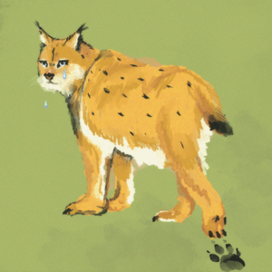 Ilves (Vain elämää kausi 12)