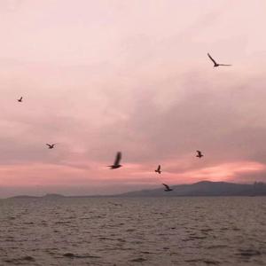 想见你想见你想见你