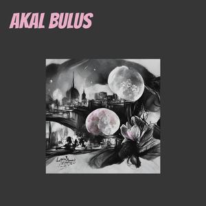Akal Bulus