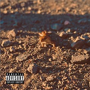 New World Sound (feat. toka chri$)