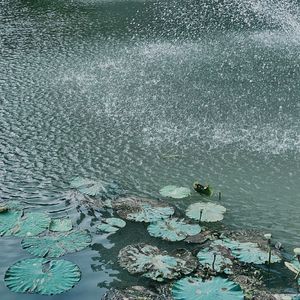 心愿存在夜幕中