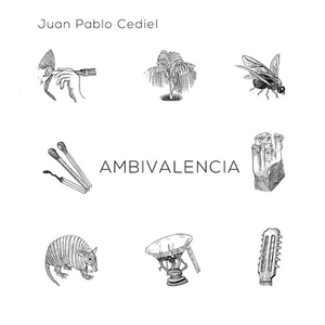 South American Voyage