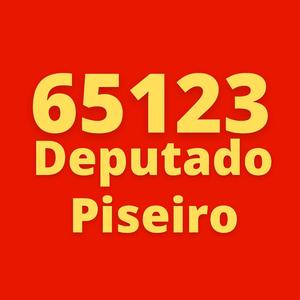 65 123 Deputado Piseiro