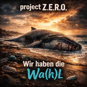 Wir haben die Wa(h)l