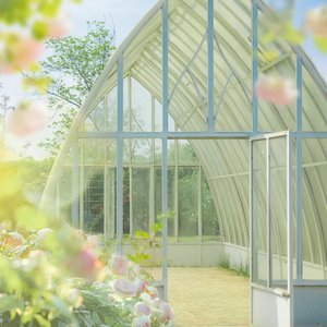 我不想再把你错过