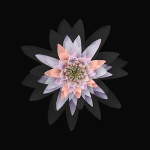 Dakini (God's Eye Mix) (feat. Sunspot Jonz, Tajai & Phesto, Souls Of Mischief & Butch Swim)