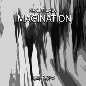 Imagination