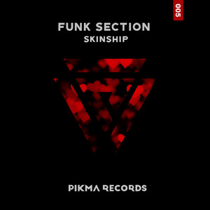 Funk Section (Original Mix)