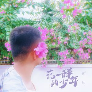 花一样的少年