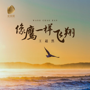 像鹰一样飞翔