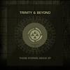 Trinity & Beyond - Urban Jungle (Original Mix)