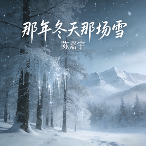 那年冬天那场雪