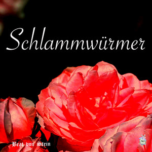 Schlammwürmer
