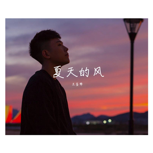 夏天的风