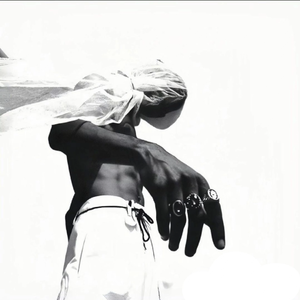 奇思妙想聪明的小羊（抖音热播版）