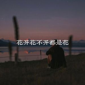 花开花不开都是花