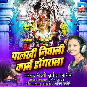 Palkhi Nighali Karle Dongarala