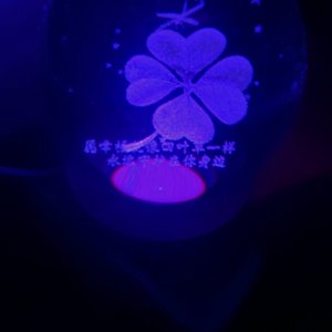02.2025（翻自 LT）