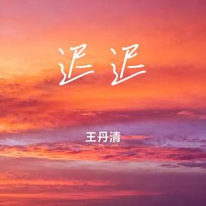 迟迟 (Cover 薛之谦)