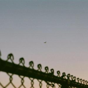 你是我不愿失去的喜欢