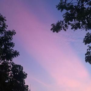 鹿头LuTo-山海（YX remix）