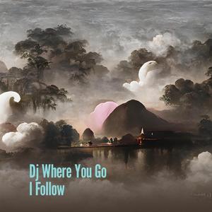 Dj Where You Go I Follow (Remix)