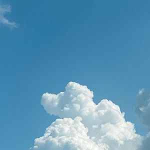 雪浸染万千华光钟声