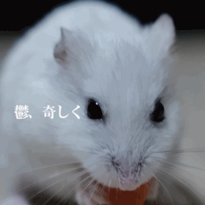 素晴らしい毎日