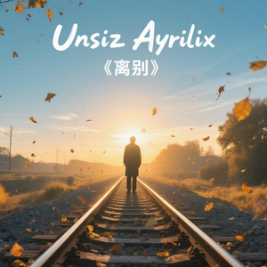 Unsiz Ayrilix《离别》