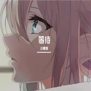 红山果（片段）