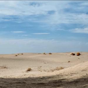 Shaka De Virgo (Sencillo)