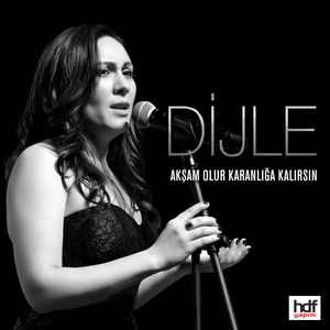 Akşam Olur Karanlığa Kalırsın