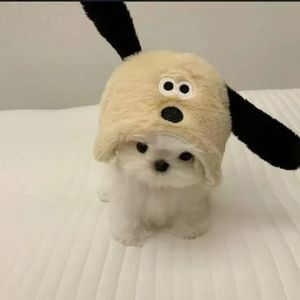 这只伶俐的棕色狐狸跳过一只懒惰的狗