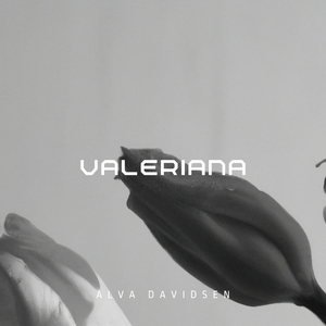 Valeriana