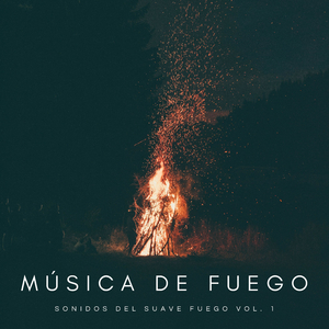 Ruido De Fogatas