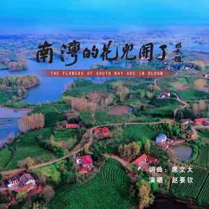 南湾的花儿开了