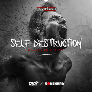 Self Destruction (Original Mix)