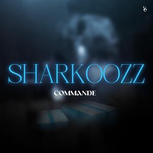 Commande