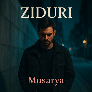 Ziduri