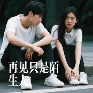 再见只是陌生人