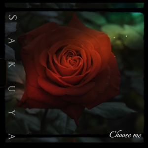 Choose me