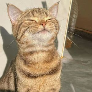 时光的角落 伴奏