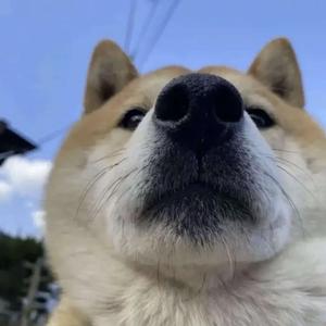 与云