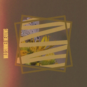 Moments Of Happiness