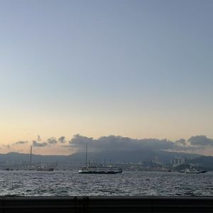 落日沉溺橘海间