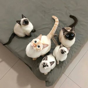 我想到你就再也不怕.wav