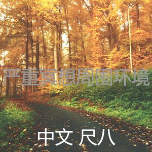 抚慰的冥想回忆