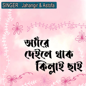 অ্যাঁরে দেইলে থাক কিল্লাই ছাই