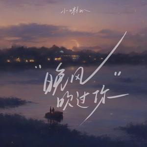 晚风吹过你